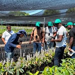 El Cesar se consolida como referente internacional de innovación agropecuaria