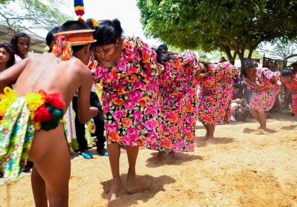 Los festivales autóctonos se consolidan como motor del turismo y la economía en La Guajira
