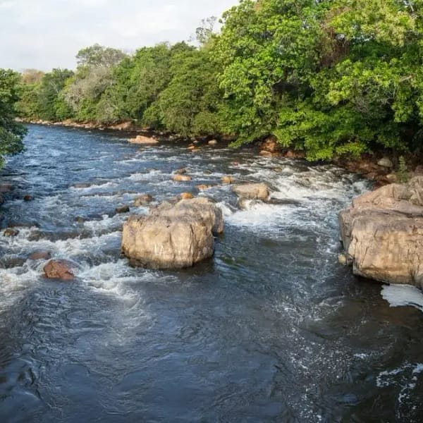 El 18 de agosto gobierno municipal iniciará intervención en el balneario Hurtado