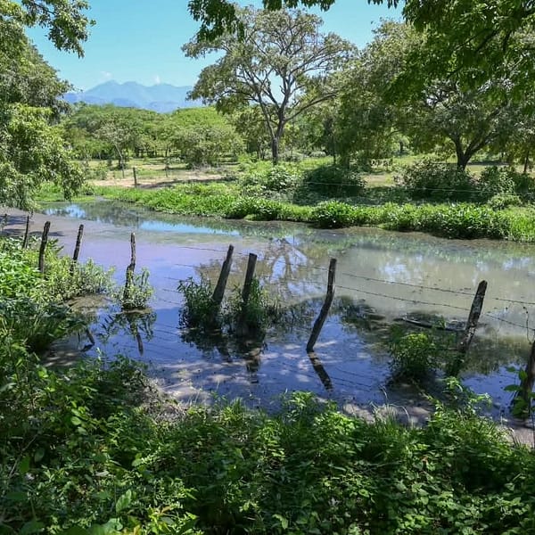 Alcaldía lleva histórica inversión para mejorar las condiciones sanitarias y solucionar el alcantarillado de Mariangola