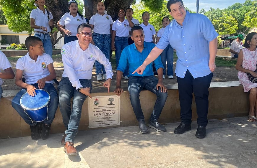 Valledupar ya tiene siete árboles patrimoniales