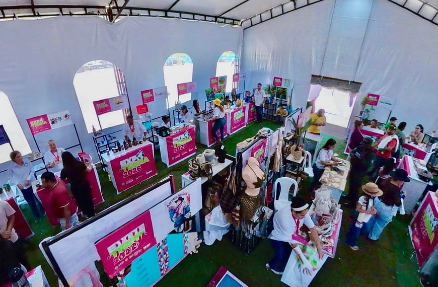 Más de 50 emprendedores ambientales brillaron en Expoterra 2026, la vitrina comercial de negocios verdes más importante del Cesar
